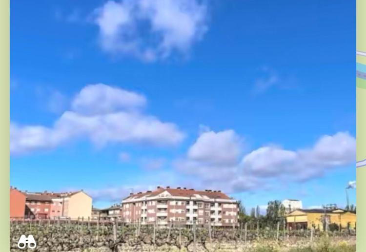 Casa Cristina - Rioja II Apartment Cenicero Exterior photo